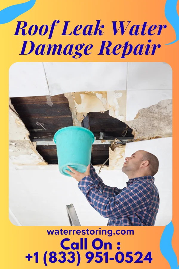 Roof Leak Water Damage Repair in Silesia, MT